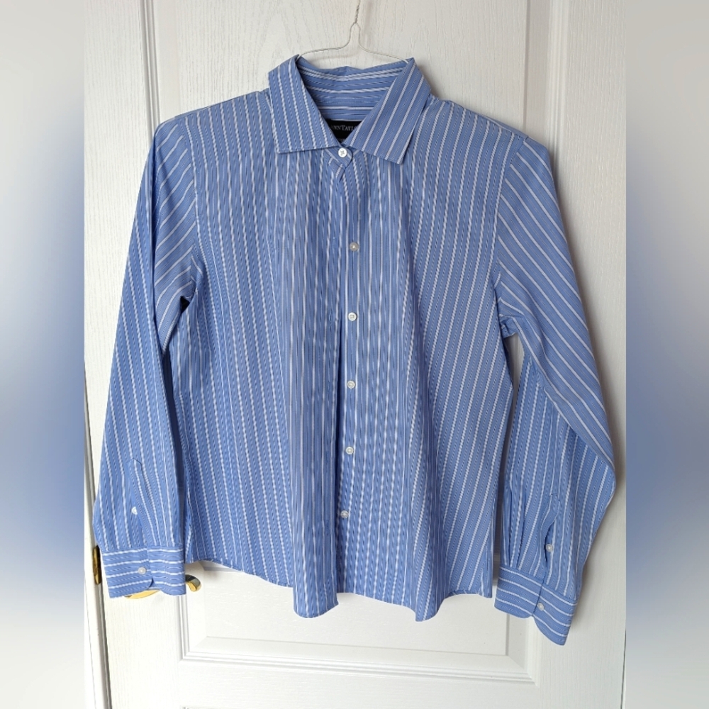 Vintage Ann Taylor Blue Striped Button Down Shirt